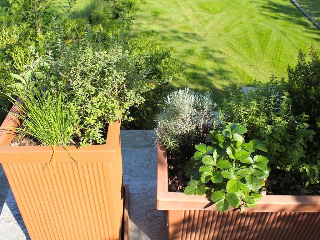 Villa Rubino Apartment Con Giardino E Jacuzzi Vista Lago Stresa Exterior photo